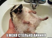  у меня столько айниня