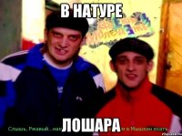 в натуре лошара