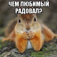 чем любимый радовал? 