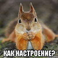  как настроение?