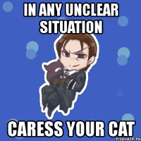 in any unclear situation caress your cat