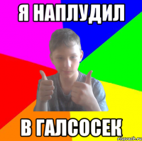 я наплудил в галсосек