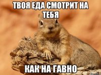 твоя еда смотрит на тебя как на гавно
