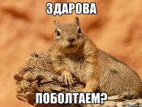 здарова поболтаем?