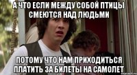 а что если между собой птицы смеются над людьми потому что нам приходиться платить за билеты на самолет