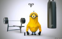 -,- 