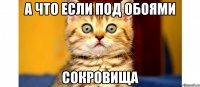 а что если под обоями сокровища