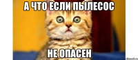 а что если пылесос не опасен