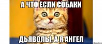 а что если собаки дьяволы, а я ангел