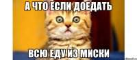 а что если доедать всю еду из миски