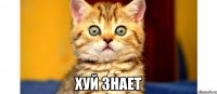  хуй знает