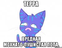 терра вредная мохнато-пушистая попа.