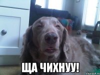  ща чихнуу!
