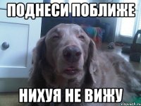 поднеси поближе нихуя не вижу