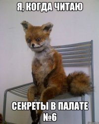 я, когда читаю секреты в палате №6