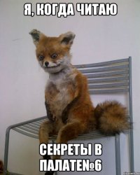 я, когда читаю секреты в палате№6