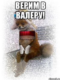 верим в валеру! 