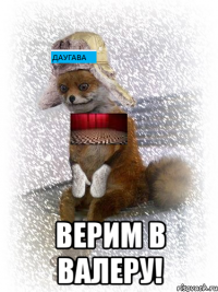  верим в валеру!