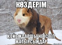 көздерім қойыңдаршы не істеп жатырсыңдар