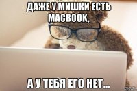 даже у мишки есть macbook, а у тебя его нет...