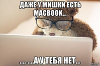 даже у мишки есть macbook... .... ....а у тебя нет...