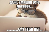 даже у мишки есть macbook... ................а у тебя нет...