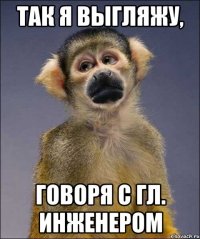 так я выгляжу, говоря с гл. инженером