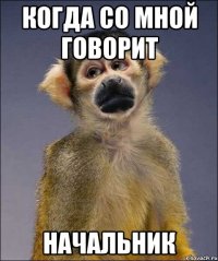 когда со мной говорит начальник