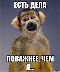 есть дела поважнее, чем я...