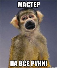мастер на все руки!