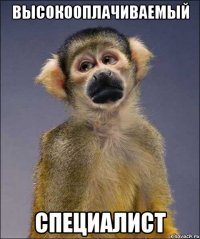 высокооплачиваемый специалист