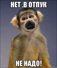 нет ,в отпук не надо!