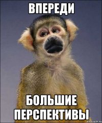 впереди большие перспективы