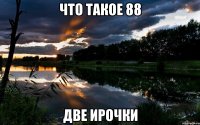 что такое 88 две ирочки