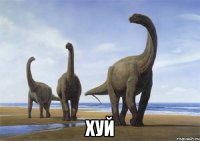 хуй