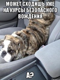 может сходишь уже на курсы безопасного вождения а?