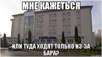 мне кажеться или туда ходят только из-за бара?