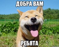 добра вам ребята