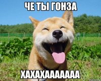 че ты гонза хахахааааааа