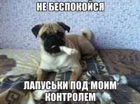 не беспокойся лапуськи под моим контролем