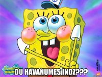  du havanumes indz???