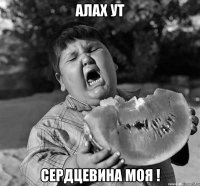 алах ут сердцевина моя !