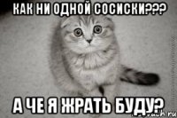 как ни одной сосиски??? а че я жрать буду?