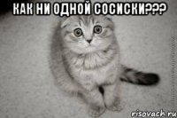 как ни одной сосиски??? 