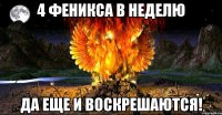 4 феникса в неделю да еще и воскрешаются!