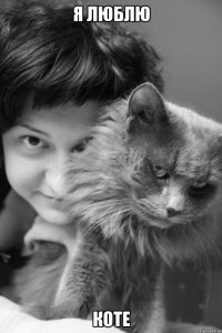 я люблю коте