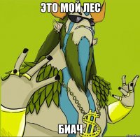 это мой лес биач