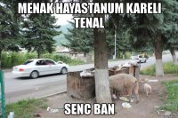 menak hayastanum kareli tenal senc ban