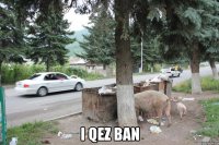  i qez ban