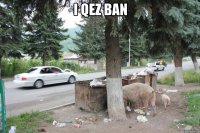 i qez ban 